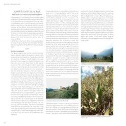 Lycaste, Ida And Anguloa 14 Lycaste, Ida And Anguloa -Wildlife Professional Books 176014 4