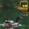 Waterbirds In China [Chinese] -Wildlife Professional Books 176035