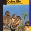 Birding Colorado -Wildlife Professional Books 176410