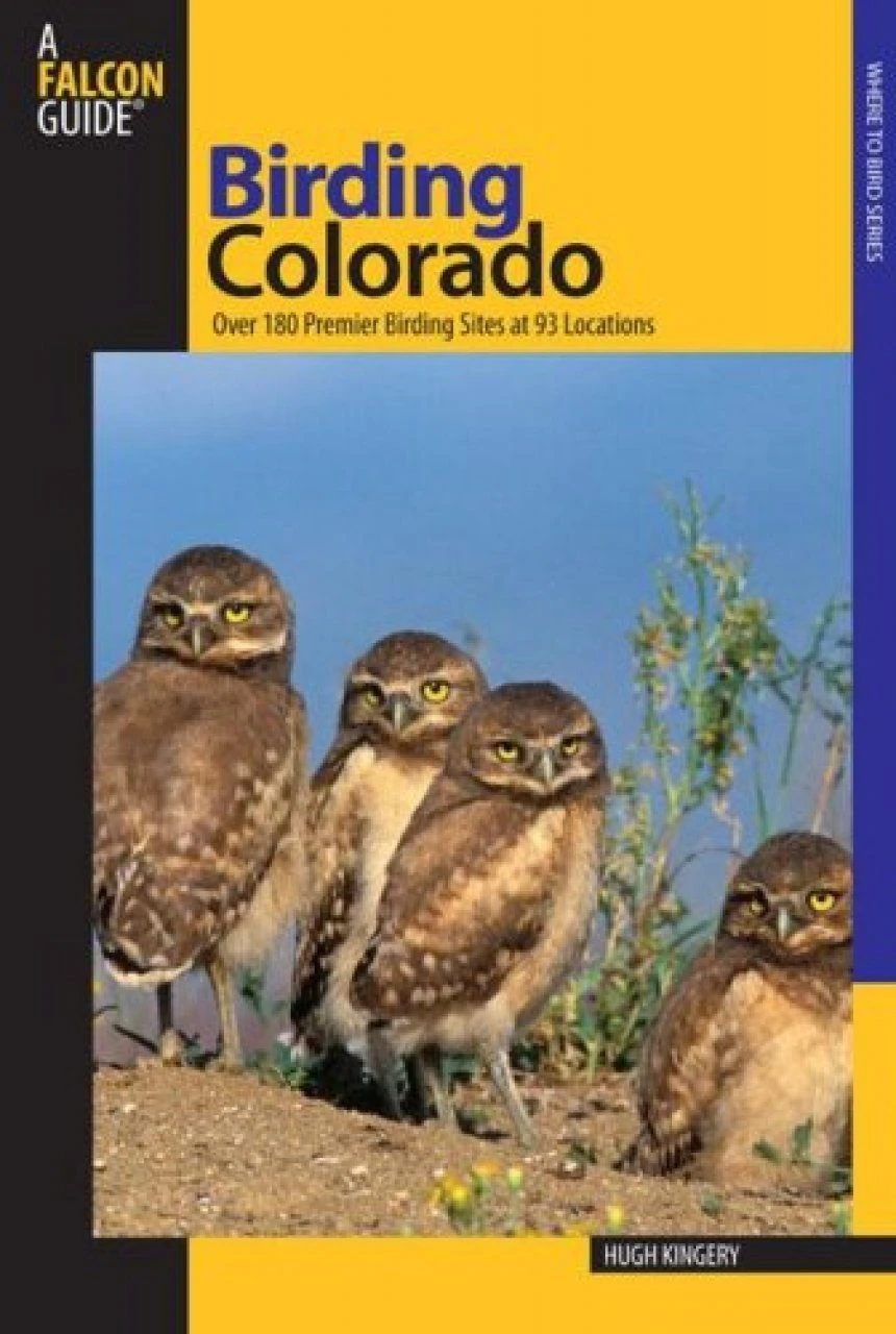 Birding Colorado 3 Birding Colorado