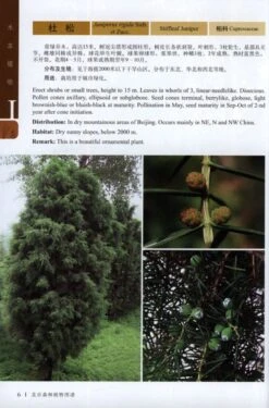Plants In Beijing 10 Plants In Beijing -Wildlife Professional Books 176653 3