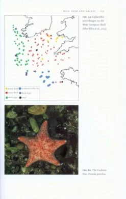 Shallow Seas 13 Shallow Seas -Wildlife Professional Books 177555 2