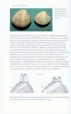 Shallow Seas 15 Shallow Seas -Wildlife Professional Books 177555 4