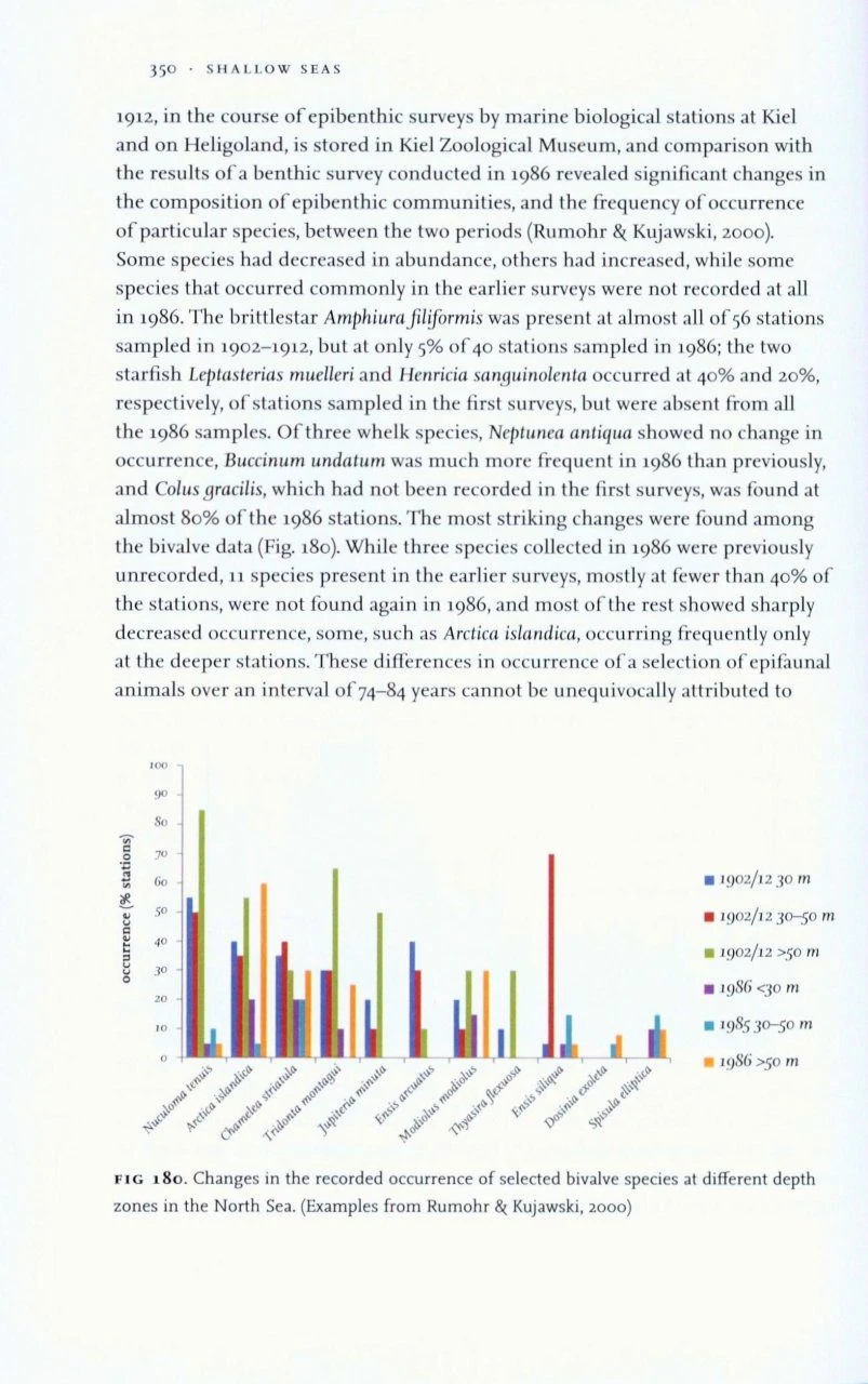 Shallow Seas 10 Shallow Seas - Image 8