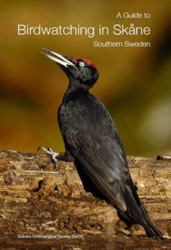 A Guide To Birdwatching In Skåne