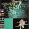 Tropical Deep-Sea Benthos, Volume 25 [Memoires Du Museum National D'Histoire Naturelle, Volume 196] -Wildlife Professional Books 178187