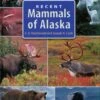 Recent Mammals Of Alaska 2 Recent Mammals Of Alaska -Wildlife Professional Books 178218