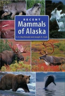 Recent Mammals Of Alaska