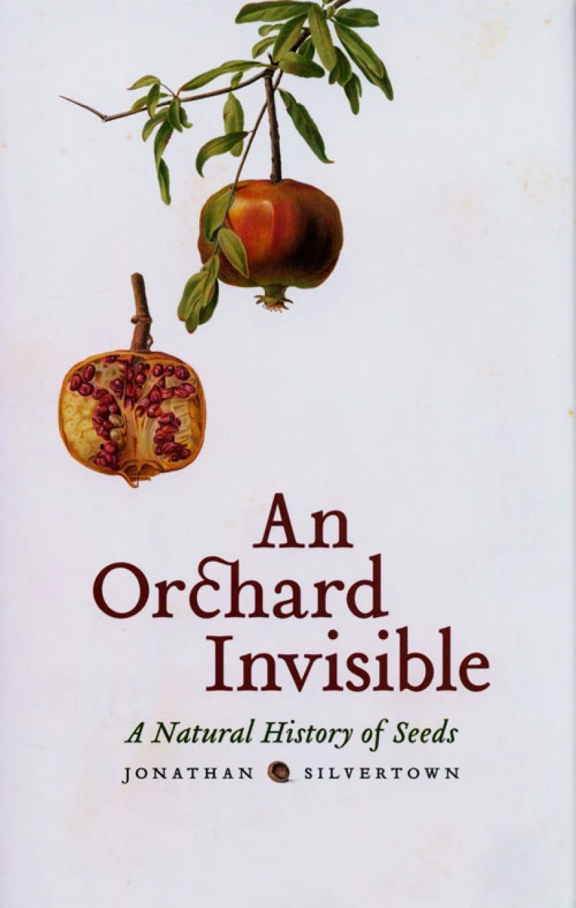 An Orchard Invisible 3 An Orchard Invisible