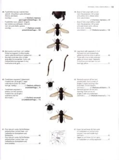 The Encyclopedia Of The Swedish Flora And Fauna, Tvåvingar: Blomflugor [Swedish] -Wildlife Professional Books 178725 2