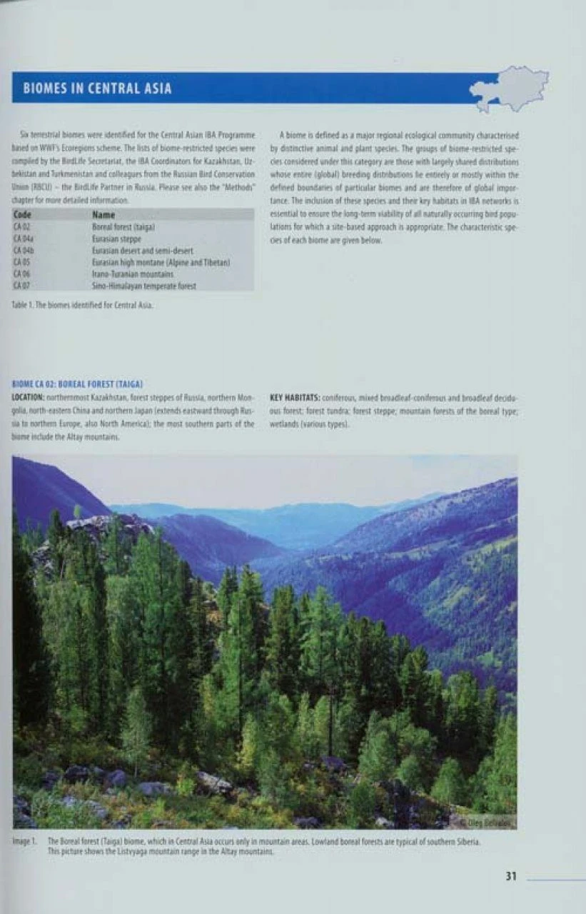 Important Bird Areas In Kazakhstan 4 Important Bird Areas In Kazakhstan - Image 2