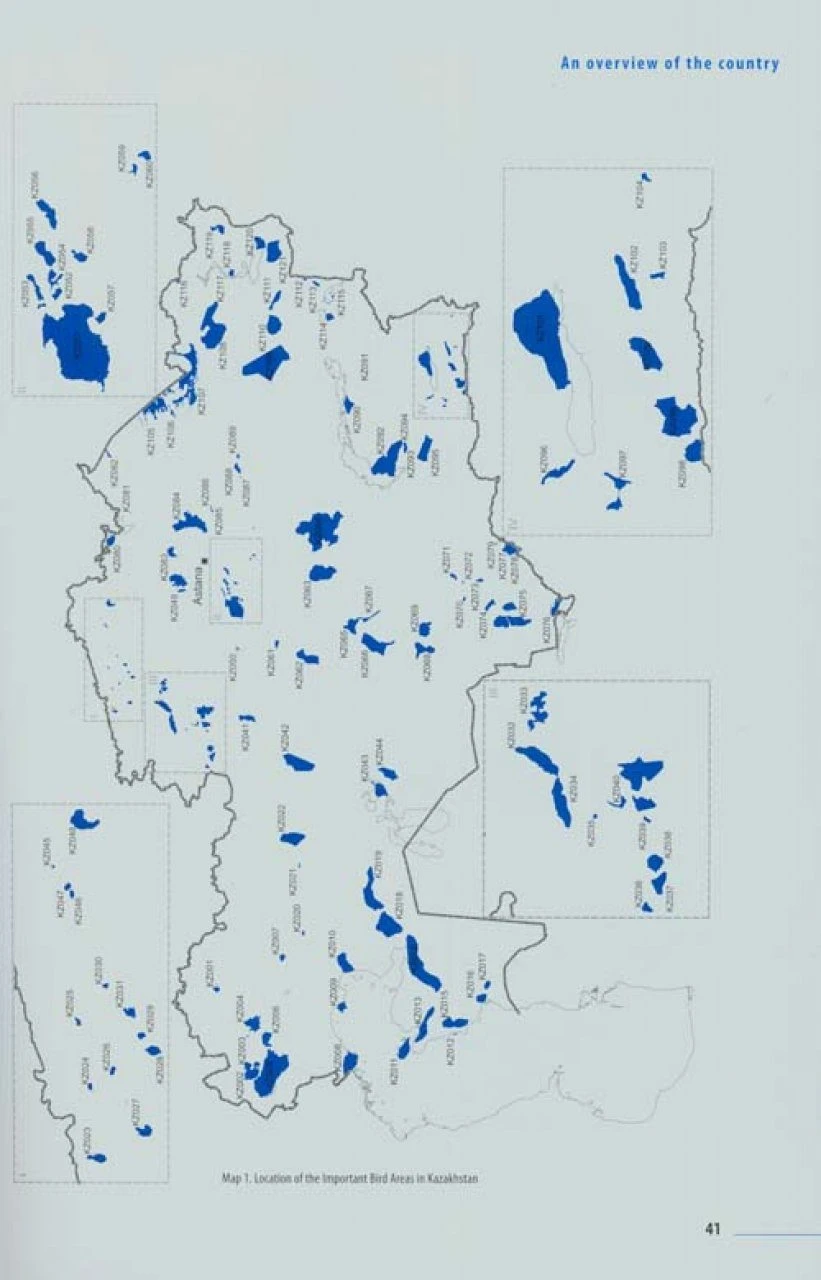 Important Bird Areas In Kazakhstan 5 Important Bird Areas In Kazakhstan - Image 3