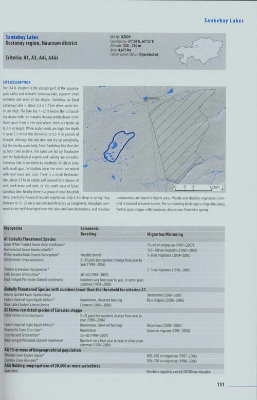 Important Bird Areas In Kazakhstan 7 Important Bird Areas In Kazakhstan - Image 5