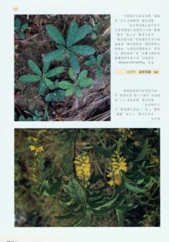 Rare Plants Of China [Chinese] -Wildlife Professional Books 179097 2