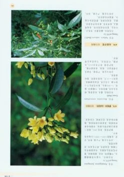 Rare Plants Of China [Chinese] -Wildlife Professional Books 179097 3
