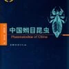 Phasmatodea Of China [Chinese] -Wildlife Professional Books 179163