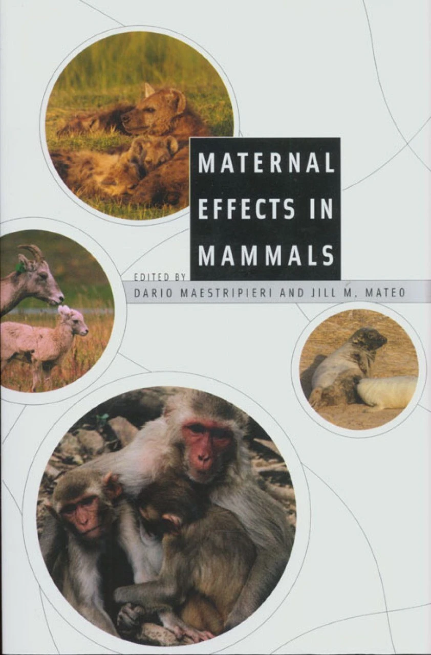 Maternal Effects In Mammals 4 Maternal Effects In Mammals - Image 2