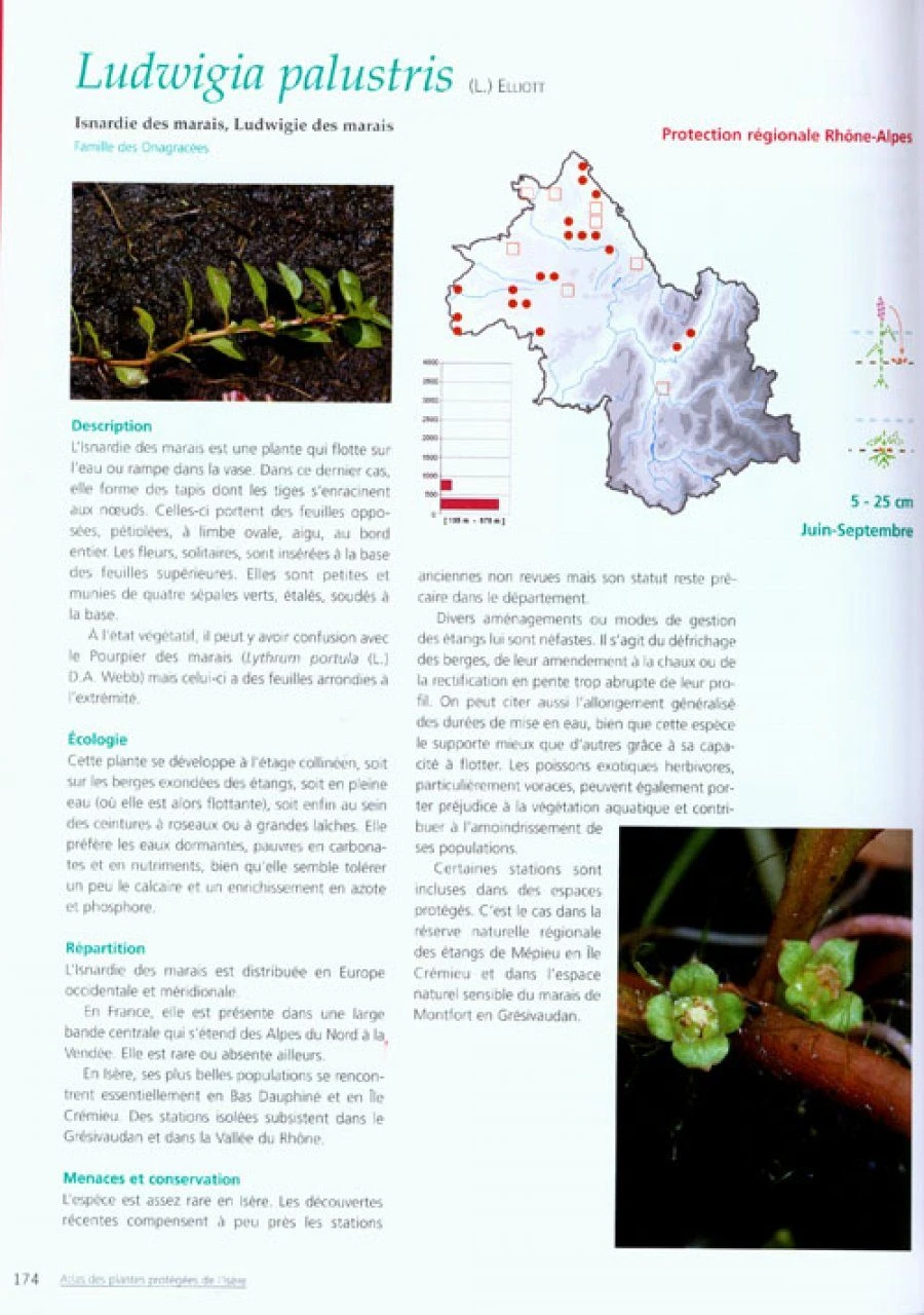 Atlas Des Plantes Protégées De L'Isère Et Des Plantes Dont La Cueillette Est Réglementée 4 Atlas Des Plantes Protégées De L'Isère Et Des Plantes Dont La Cueillette Est Réglementée - Image 2