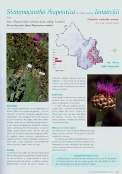 Atlas Des Plantes Protégées De L'Isère Et Des Plantes Dont La Cueillette Est Réglementée 7 Atlas Des Plantes Protégées De L'Isère Et Des Plantes Dont La Cueillette Est Réglementée -Wildlife Professional Books 179605 2