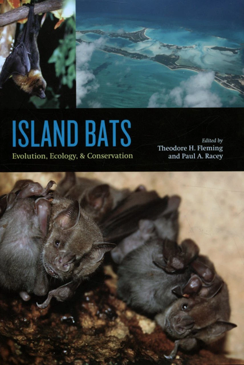 Island Bats 3 Island Bats