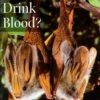 Do Bats Drink Blood? 2 Do Bats Drink Blood? -Wildlife Professional Books 181257