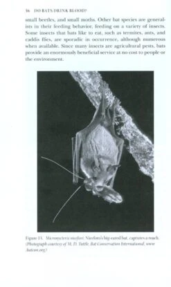 Do Bats Drink Blood? 10 Do Bats Drink Blood? -Wildlife Professional Books 181257 3