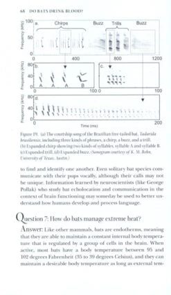 Do Bats Drink Blood? 11 Do Bats Drink Blood? -Wildlife Professional Books 181257 4