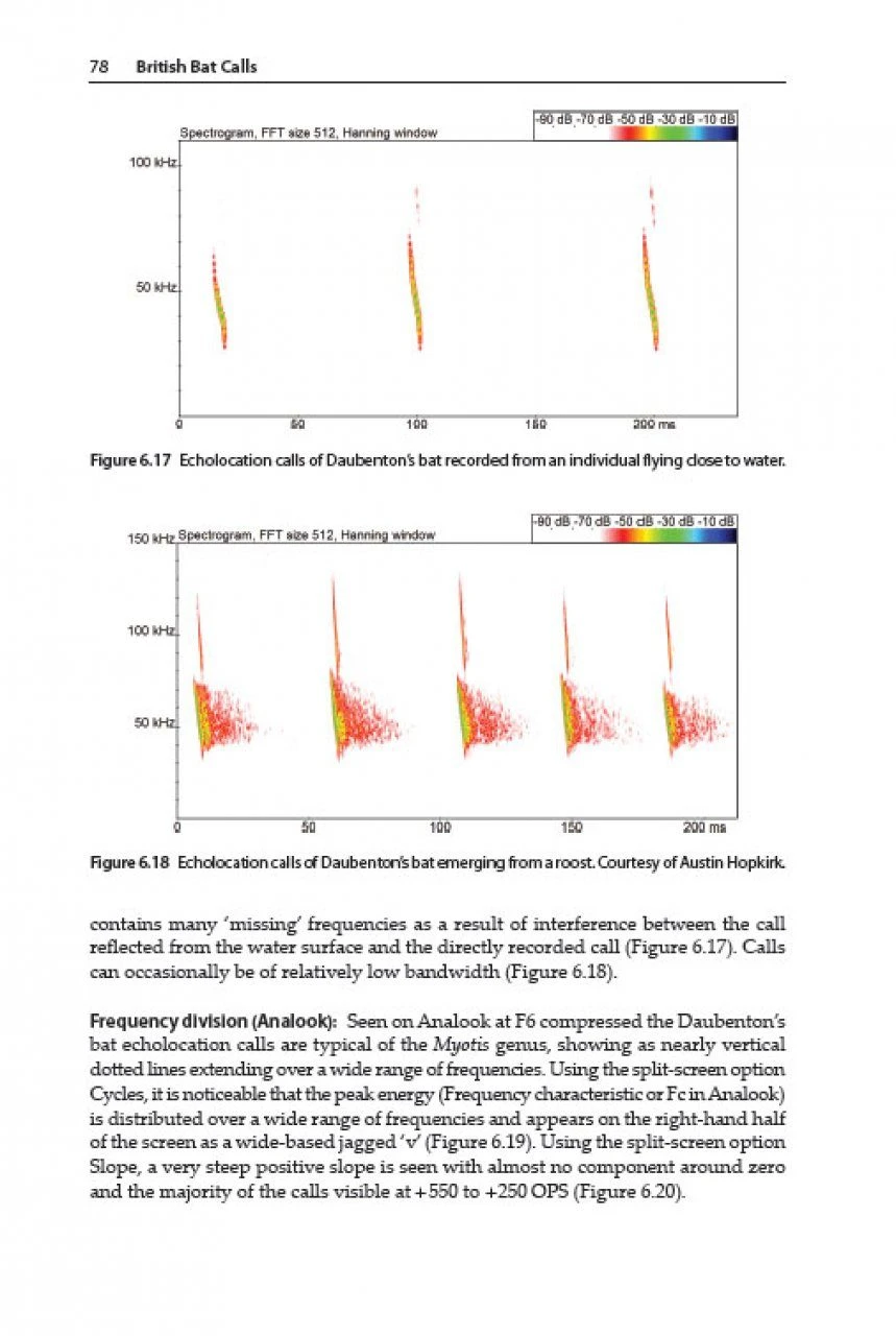 British Bat Calls 5 British Bat Calls - Image 3