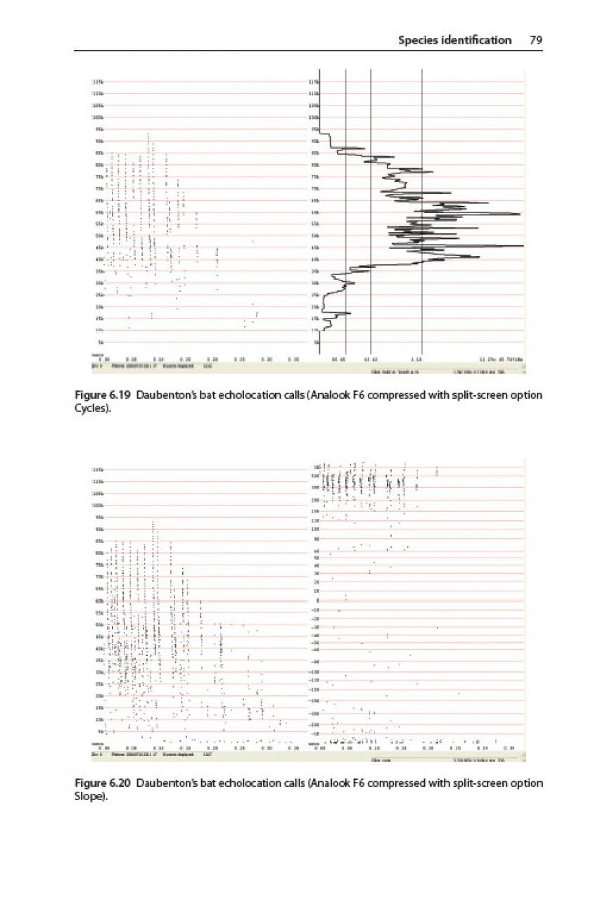 British Bat Calls 6 British Bat Calls - Image 4
