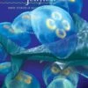 The Shark And The Jellyfish 2 The Shark And The Jellyfish -Wildlife Professional Books 182311