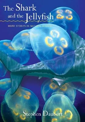 The Shark And The Jellyfish 3 The Shark And The Jellyfish