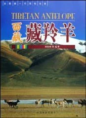 Tibetan Antelope [Chinese]