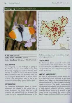 Butterfly Atlas Of The Scottish Borders -Wildlife Professional Books 183082 3