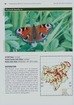 Butterfly Atlas Of The Scottish Borders -Wildlife Professional Books 183082 4