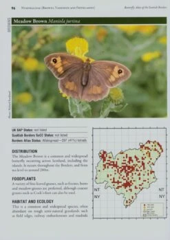 Butterfly Atlas Of The Scottish Borders -Wildlife Professional Books 183082 5