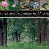 Prairies And Savannas In Michigan 1 Prairies And Savannas In Michigan -Wildlife Professional Books 183746