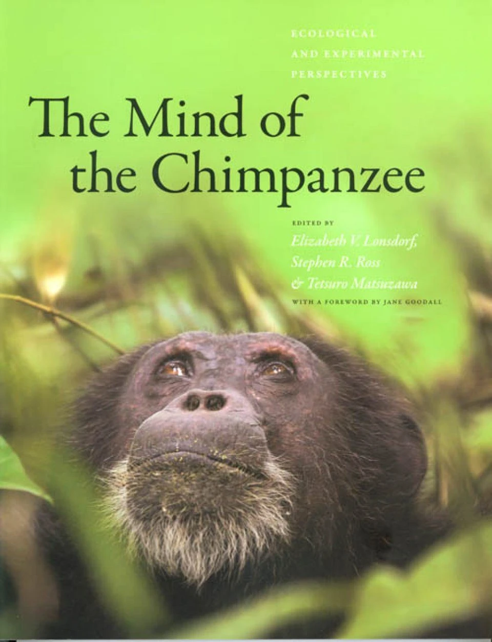 The Mind Of The Chimpanzee 3 The Mind Of The Chimpanzee