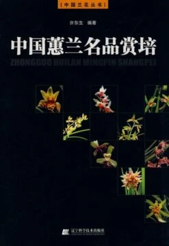 Superior Cymbidium Faberi Of China [Chinese]