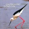 Chongming Dongtan Habitats For Birds 1 Chongming Dongtan Habitats For Birds -Wildlife Professional Books 184674