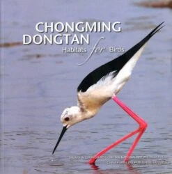 Chongming Dongtan Habitats For Birds