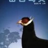 Birds In Shanxi Province [Chinese] -Wildlife Professional Books 184676