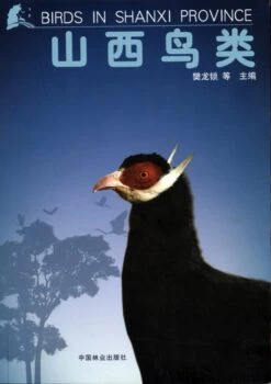 Birds In Shanxi Province [Chinese]