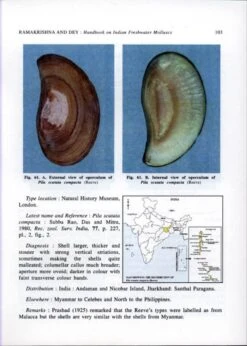 Handbook On Indian Freshwater Molluscs 7 Handbook On Indian Freshwater Molluscs -Wildlife Professional Books 185268 1