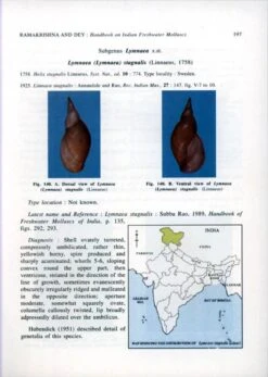 Handbook On Indian Freshwater Molluscs 8 Handbook On Indian Freshwater Molluscs -Wildlife Professional Books 185268 2