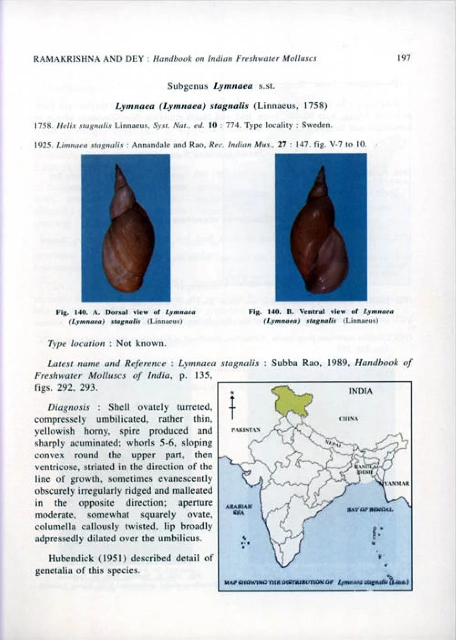 Handbook On Indian Freshwater Molluscs 5 Handbook On Indian Freshwater Molluscs - Image 3