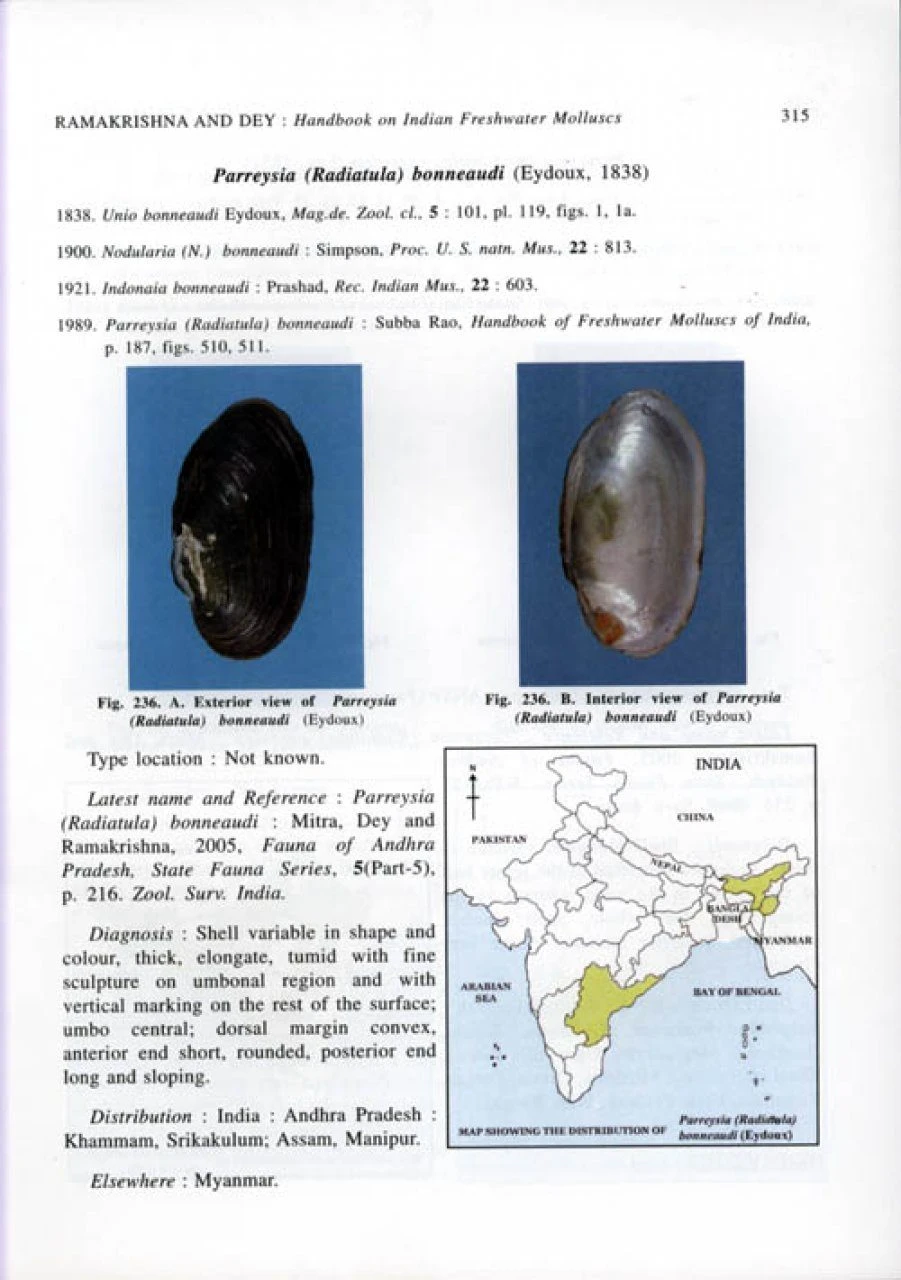 Handbook On Indian Freshwater Molluscs 6 Handbook On Indian Freshwater Molluscs - Image 4
