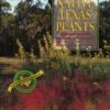 Native Texas Plants 2 Native Texas Plants -Wildlife Professional Books 185405