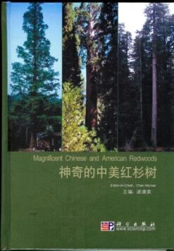 Magnificent Chinese And American Redwoods