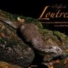 A L'Affut Des Loutres [On The Lookout For Otters] -Wildlife Professional Books 186086