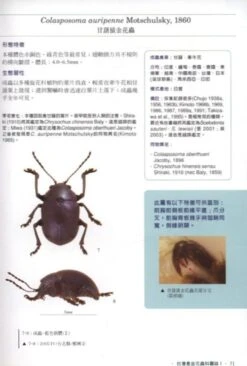 The Chrysomelidae Of Taiwan, Volume 1 [Chinese] -Wildlife Professional Books 186329 2